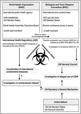 SARS-CoV-2: International Investigation Under the WHO or BWC